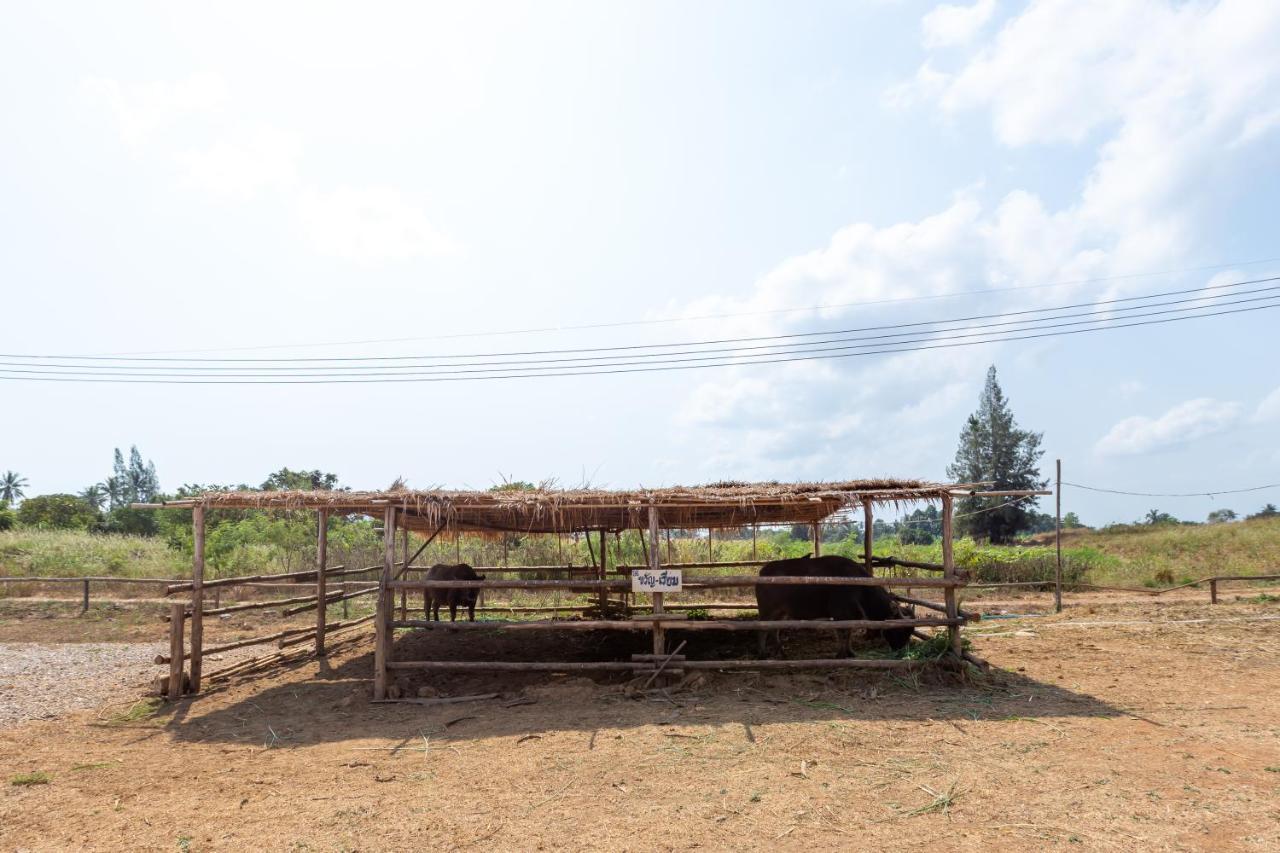 מלון קאו טאו The Barn Hua Hin מראה חיצוני תמונה